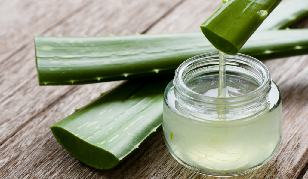 Descubre 5 Asombrosos Beneficios del Jugo de Aloe Vera. ¡Y no te Pierdas el Video Explicativo!