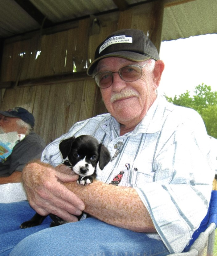 ¡Un cachorro abandonado trae esperanza a la vida de un hombre de 91 años en duelo: una historia increíble!